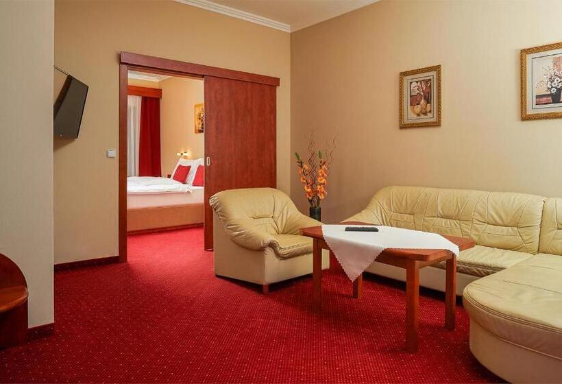 جناح رئاسى, Wellness Hotel Lužan