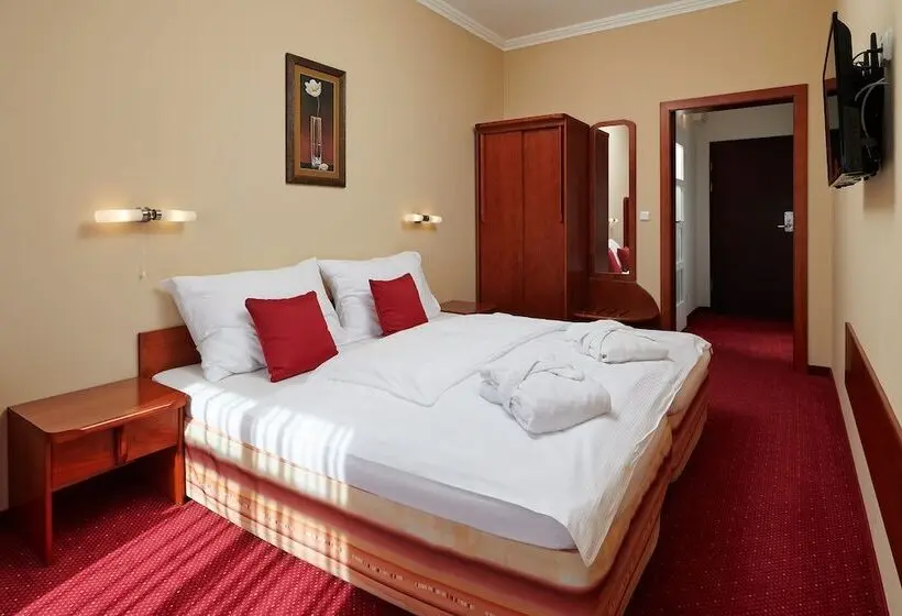 スタンダードルーム, Wellness Hotel Lužan