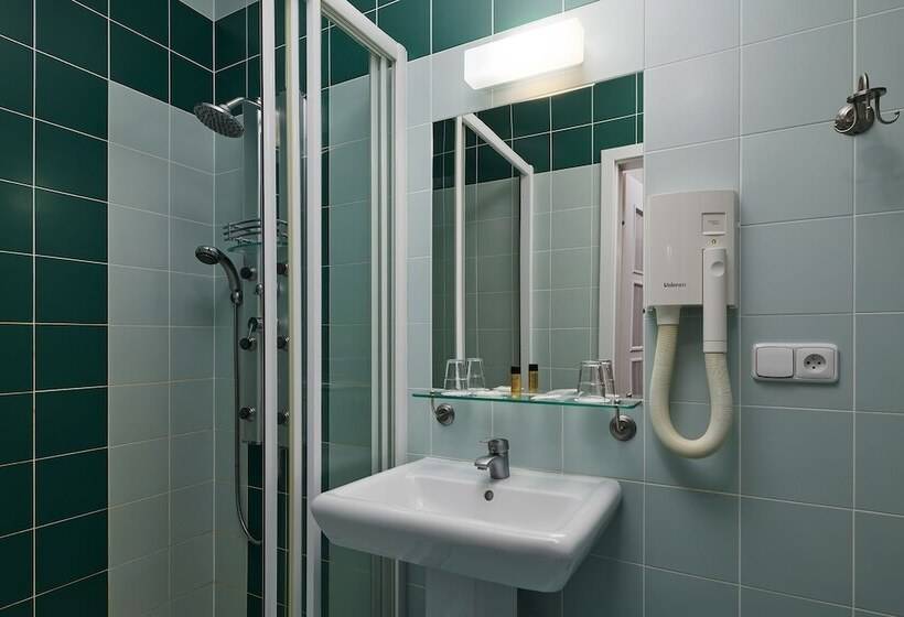 غرفة قياسية, Wellness Hotel Lužan