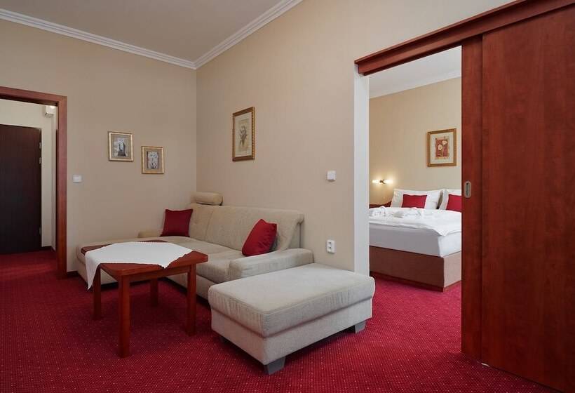 جناح ديلوكس, Wellness Hotel Lužan