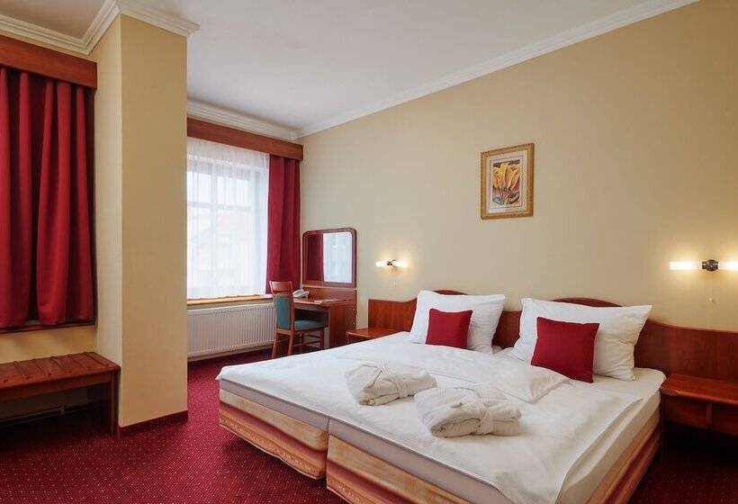 Полулюкс, Wellness Hotel Lužan