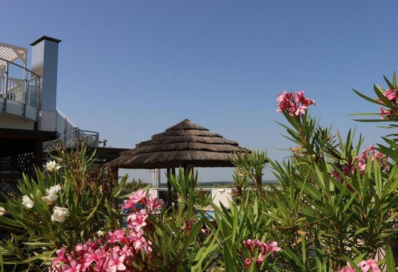 １ベッドルームアパートメント, Eraclea Palace Appartements