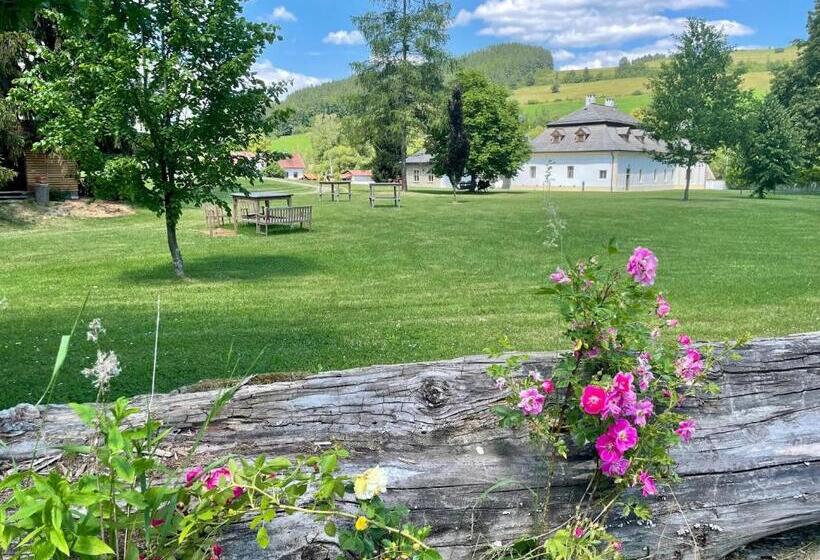 Номер Стандарт, Kaštieľ Kubínyi