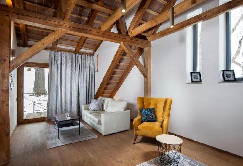 Апартаменты 1 Спальня, Kaštieľ Kubínyi