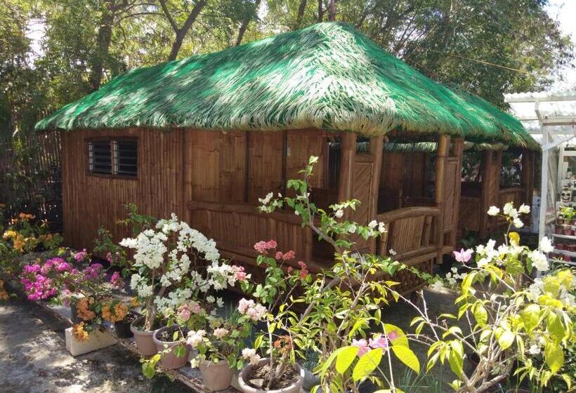 Бунгало Стандарт, Rene's Diverslounge Resort