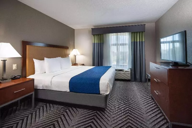 اتاق استاندارد با تخت بزرگ برای معلولان, Best Western Inn & Suites San Mateo   San Francisco Airport