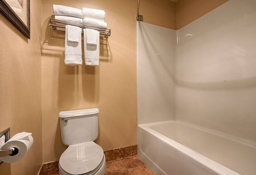 غرفه قياسيه سريرين مزدوجين, Best Western Plus Deer Park Hotel And Suites