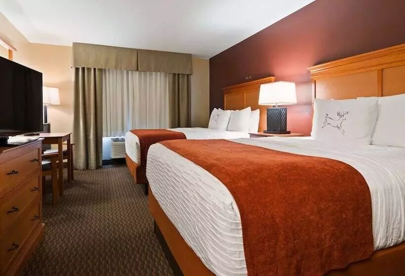 ２ダブルベッドのスタンダードルーム, Best Western Plus Deer Park Hotel And Suites