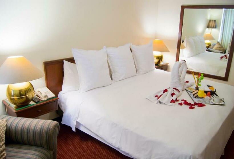 Полулюкс, Carrera