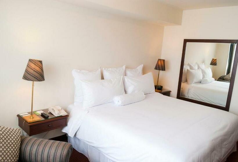 Полулюкс, Carrera