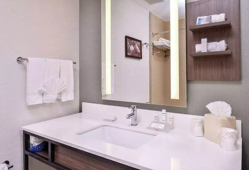 اتاق استاندارد با تخت دوبل, Hilton Garden Inn Bend