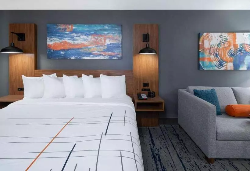 اتاق استاندارد با تخت بزرگ برای معلولان, La Quinta Inn & Suites By Wyndham Albany Ga