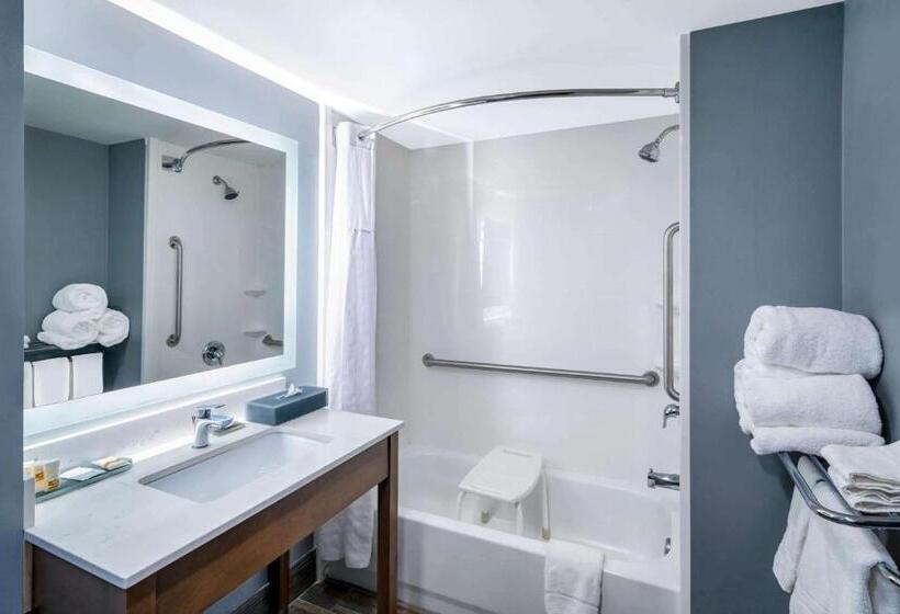 Номер Стандарт Кровать Кинг Адаптированный для Инвалидов, La Quinta Inn & Suites By Wyndham Albany Ga