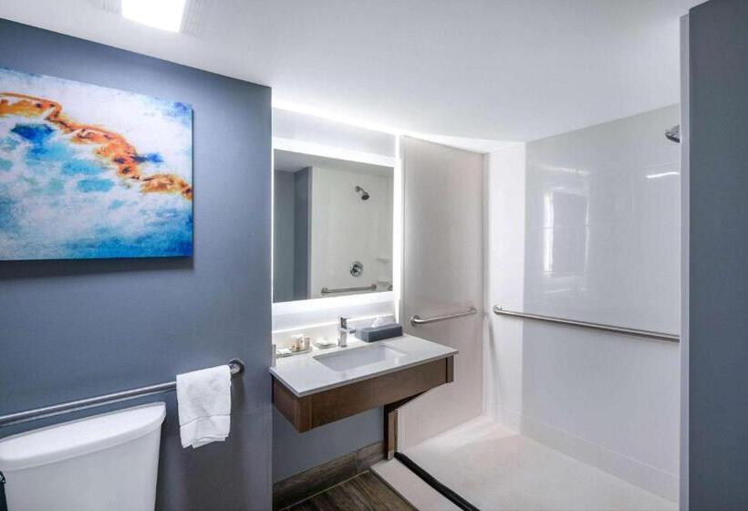 Номер Deluxe Адаптированный для Инвалидов, La Quinta Inn & Suites By Wyndham Albany Ga