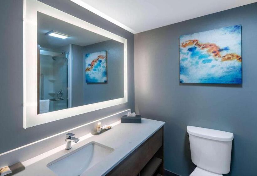 غرفة قياسية سرير كينج, La Quinta Inn & Suites By Wyndham Albany Ga