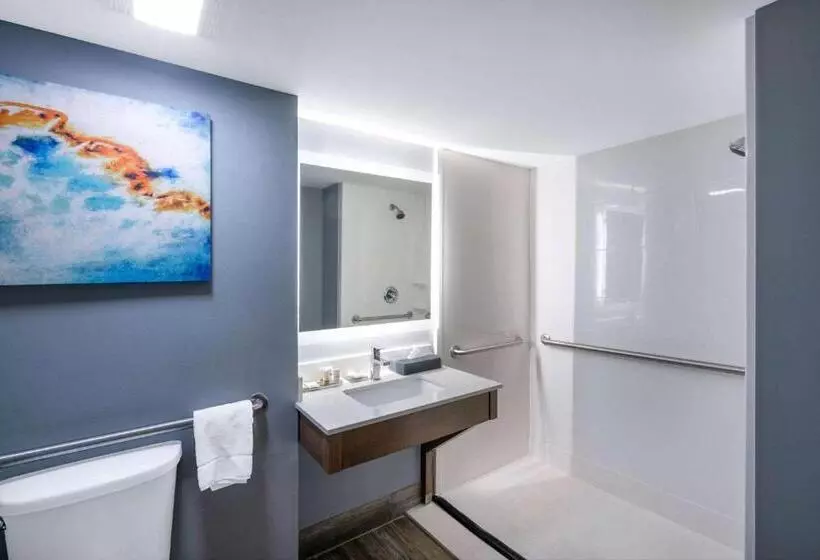 اتاق استاندارد برای معلولان, La Quinta Inn & Suites By Wyndham Albany Ga