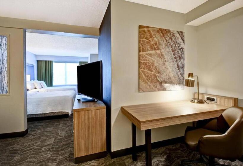 Люкс, Springhill Suites By Marriott Atlanta Kennesaw