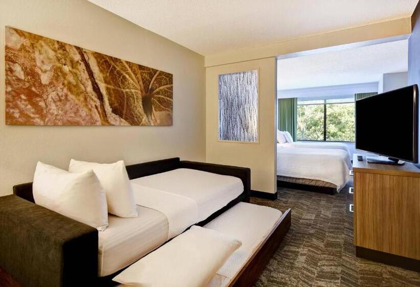 סוויטה, Springhill Suites By Marriott Atlanta Kennesaw