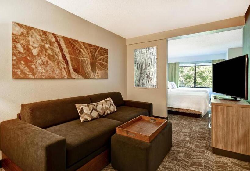 סוויטה, Springhill Suites By Marriott Atlanta Kennesaw
