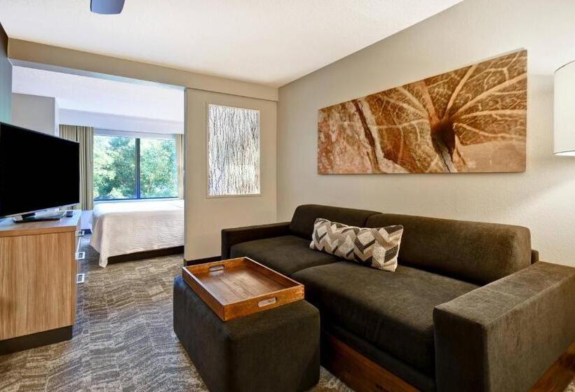 מיטת קינג בסוויטה, Springhill Suites By Marriott Atlanta Kennesaw