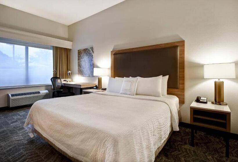 מיטת קינג בסוויטה, Springhill Suites By Marriott Atlanta Kennesaw