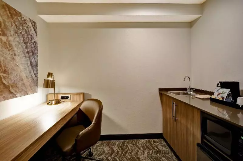 キングサイズベッドのスイートルーム, Springhill Suites By Marriott Atlanta Kennesaw