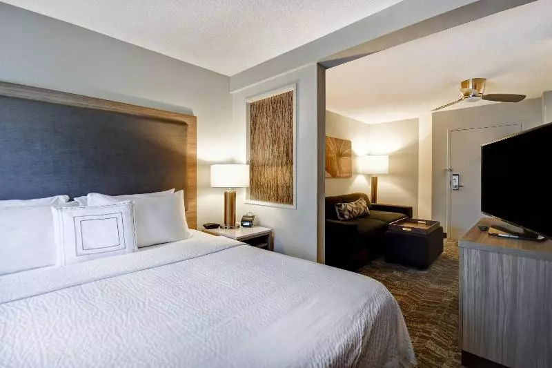キングサイズベッドのスイートルーム, Springhill Suites By Marriott Atlanta Kennesaw