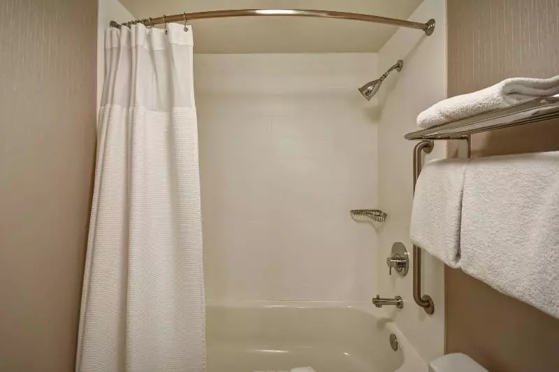 キングサイズベッドのスイートルーム, Springhill Suites By Marriott Atlanta Kennesaw