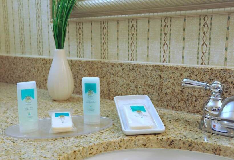 סוויטה, Springhill Suites By Marriott Atlanta Kennesaw