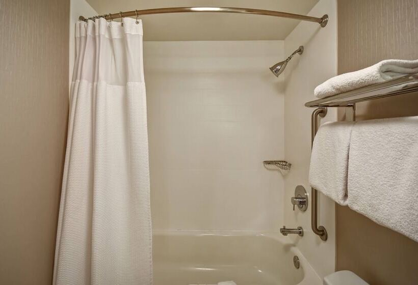 Люкс, Springhill Suites By Marriott Atlanta Kennesaw