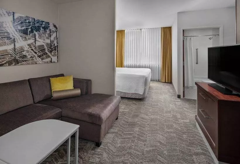 スイート, Springhill Suites By Marriott Chicago O Hare