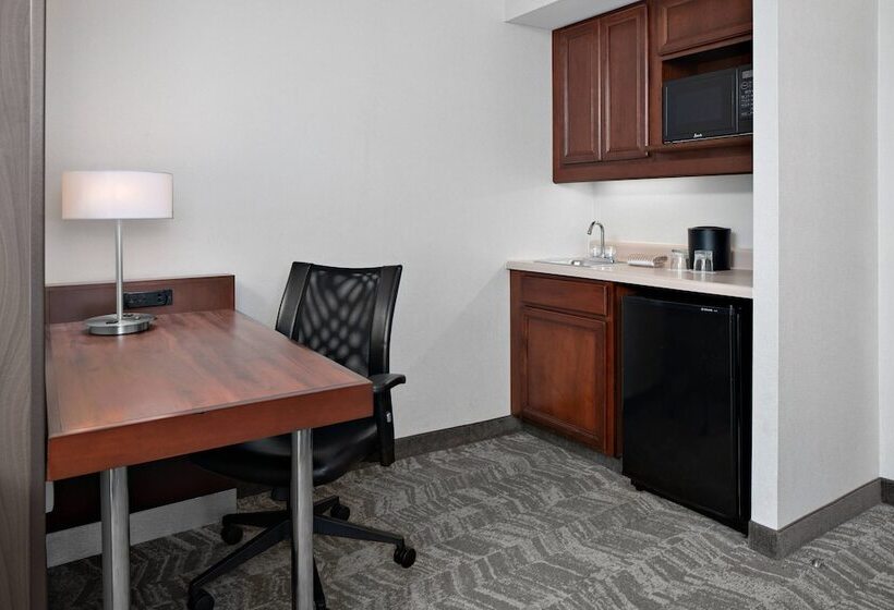스위트, Springhill Suites By Marriott Chicago O Hare