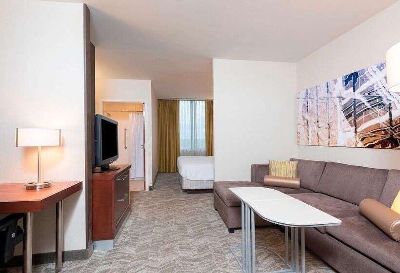 סוויטה, Springhill Suites By Marriott Chicago O Hare