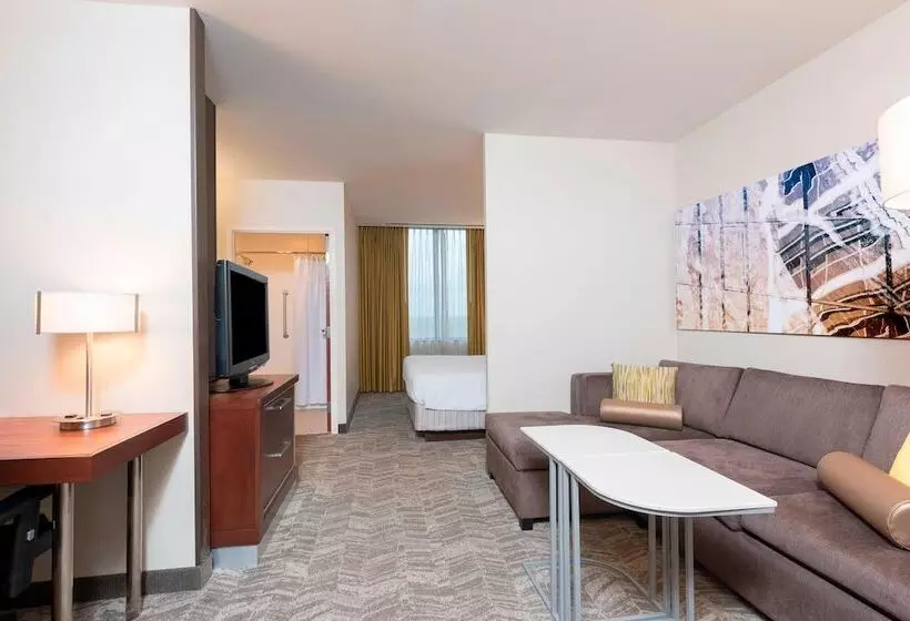 スイート, Springhill Suites By Marriott Chicago O Hare