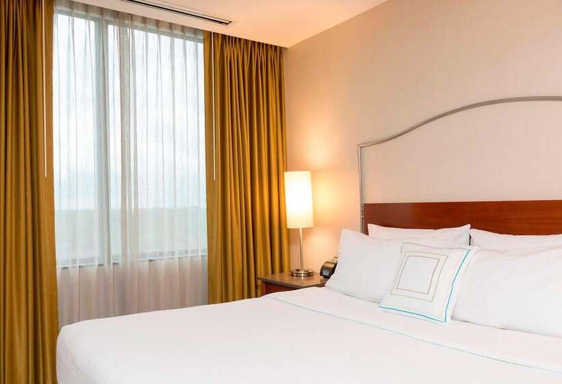 스위트, Springhill Suites By Marriott Chicago O Hare