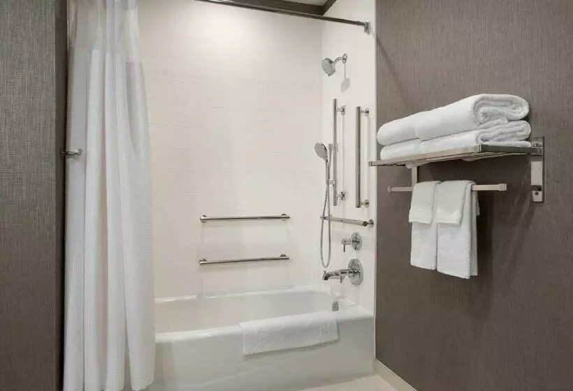 سوئیت با تخت بزرگ, Springhill Suites Herndon Reston