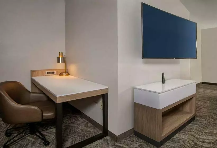 سوئیت با تخت بزرگ, Springhill Suites Herndon Reston
