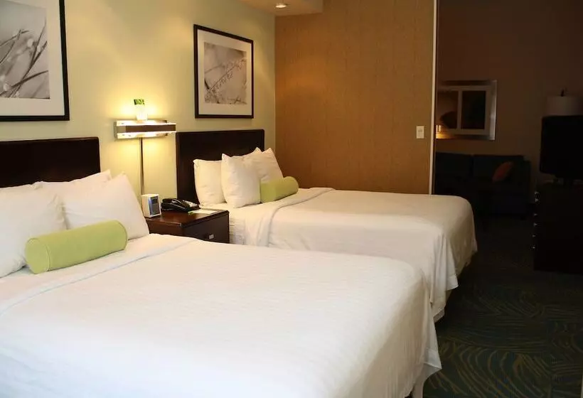 سوییت, Springhill Suites Morgantown