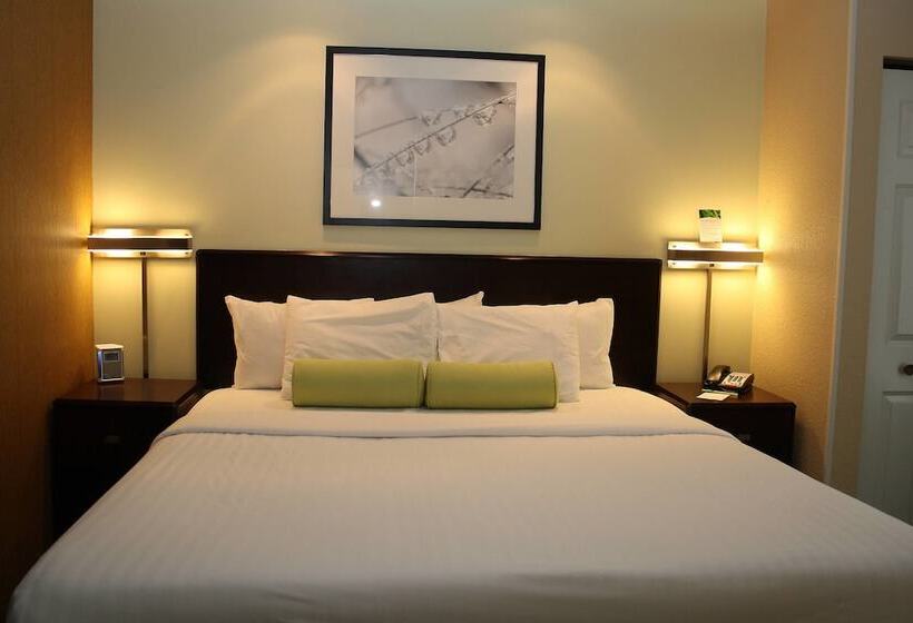 סוויטה, Springhill Suites Morgantown