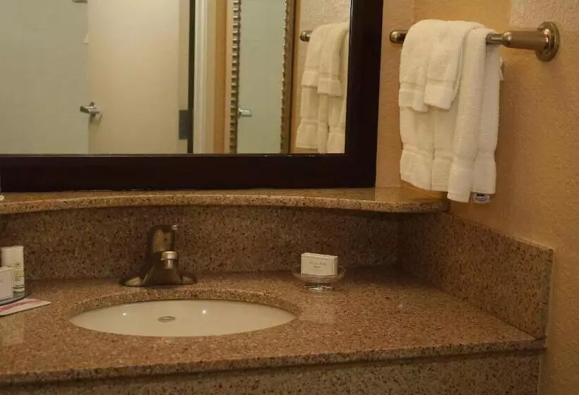 سوئیت با تخت بزرگ, Springhill Suites Morgantown