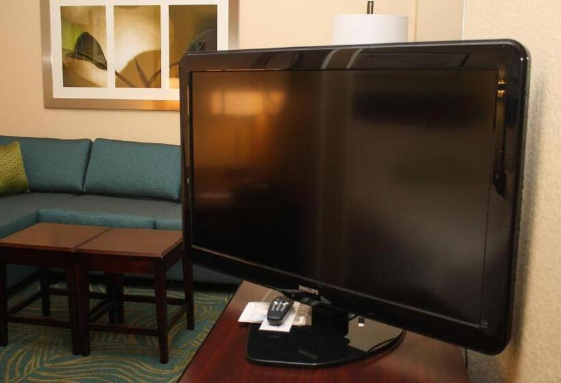 מיטת קינג בסוויטה, Springhill Suites Morgantown