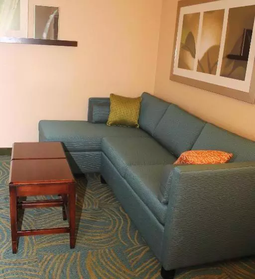 سوئیت با تخت بزرگ, Springhill Suites Morgantown