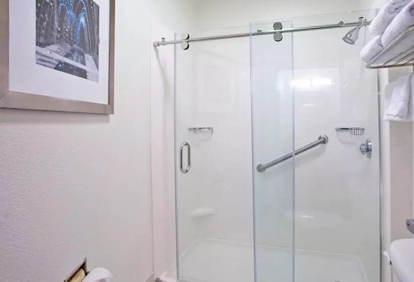 スイート, Springhill Suites Nashville Metrocenter