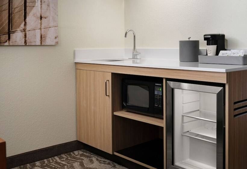 Suite, Springhill Suites Nashville Metrocenter