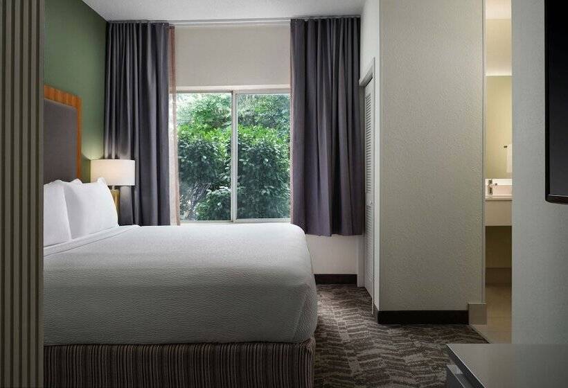 سوییت, Springhill Suites Nashville Metrocenter