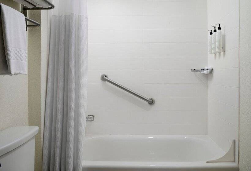 Suite, Springhill Suites Nashville Metrocenter