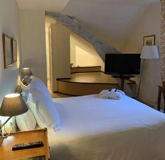 اتاق بزرگ با دسترسی به اسپا, Hôtel Villa Navarre