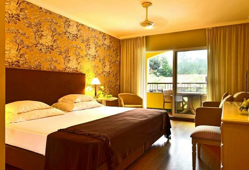 高级工作室, Pestana Village Garden