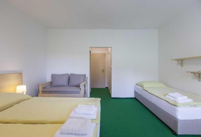 Номер Стандарт Трехместный, Rusava 2 Depandance