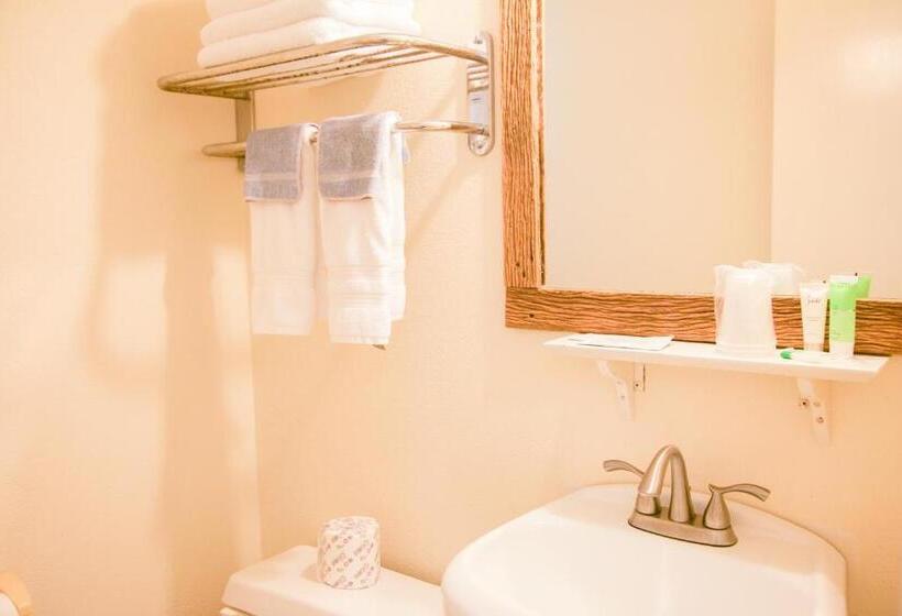 스탠다드 룸, Shiner Country Inn